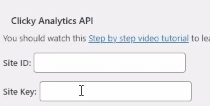 Clicky analytics