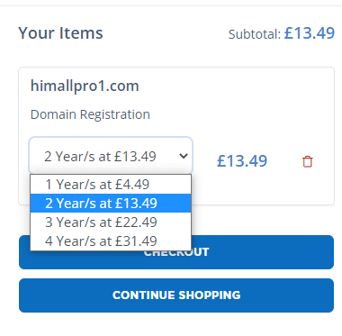 prices-when-buying-domain-names-for-long-period