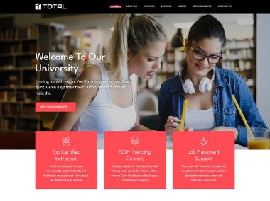 best free wordpress themes for private blogs total theme