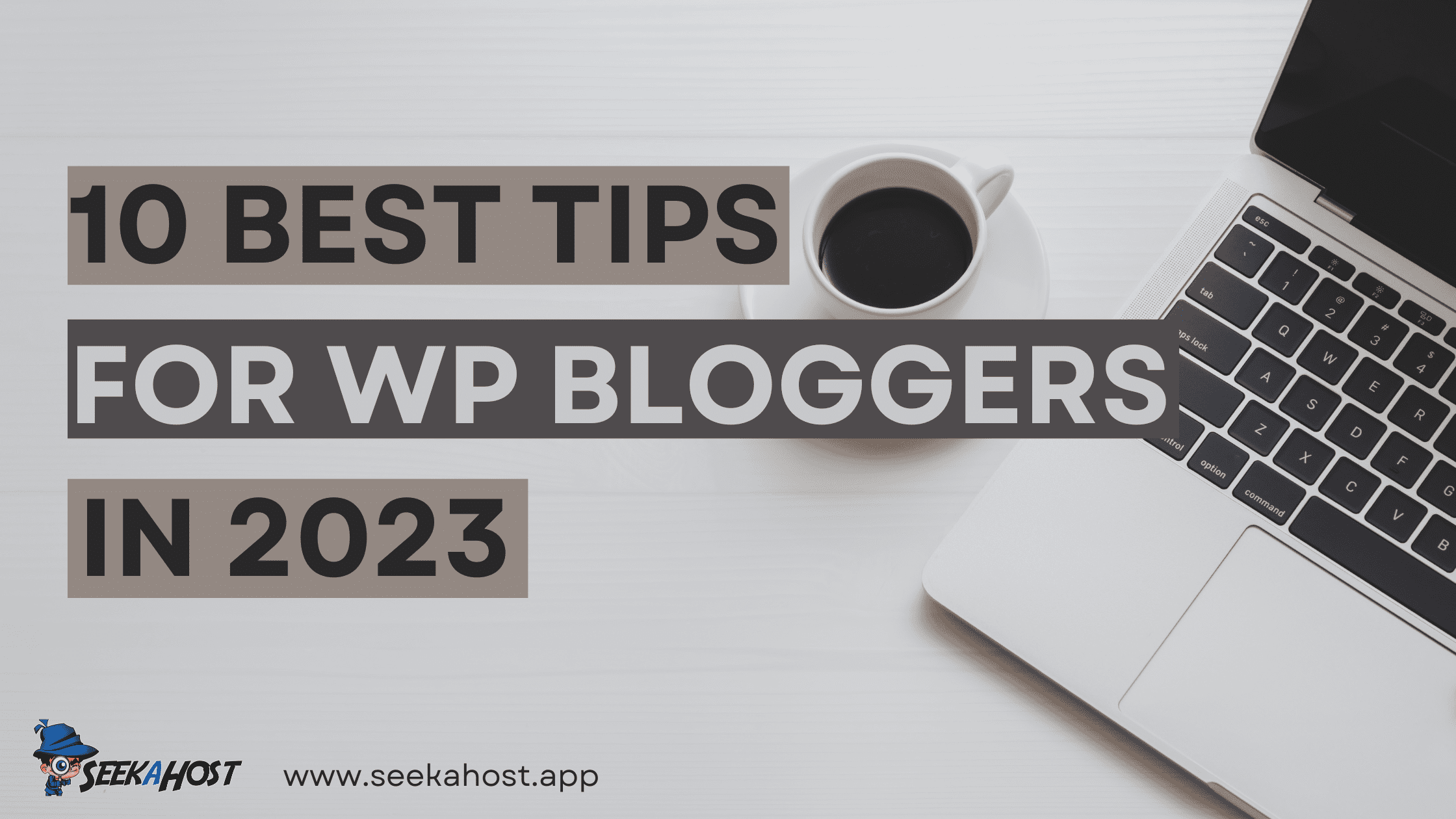 how to use wordpress for blogging