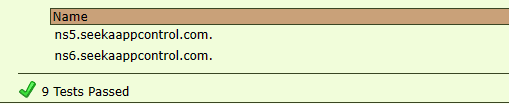 leaf dns server