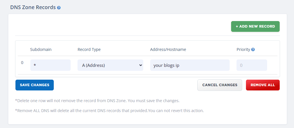 dns setup for .nl domain